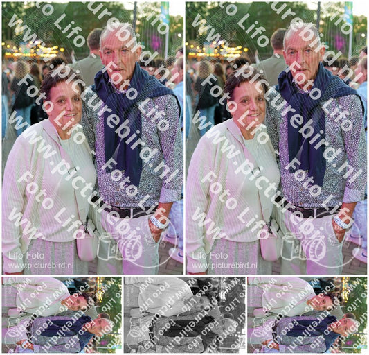 Evenement foto: Nijmeegse Vierdaagse 1134