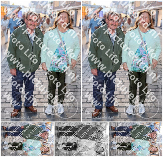 Evenement foto: Nijmeegse Vierdaagse 1133