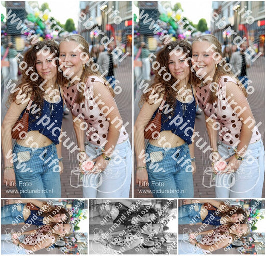 Evenement foto: Nijmeegse Vierdaagse 1132