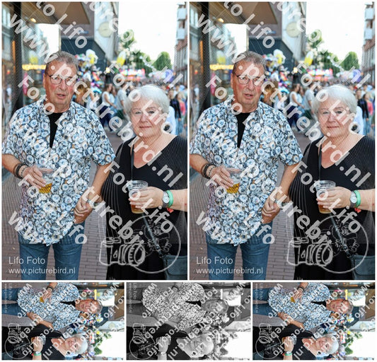 Evenement foto: Nijmeegse Vierdaagse 1132