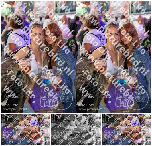 Evenement foto: Nijmeegse Vierdaagse 1131