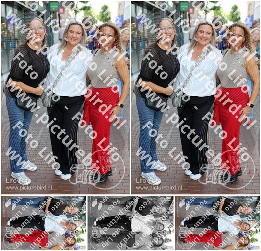 Evenement foto: Nijmeegse Vierdaagse 1130