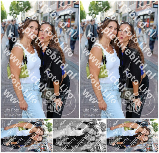 Evenement foto: Nijmeegse Vierdaagse 1130