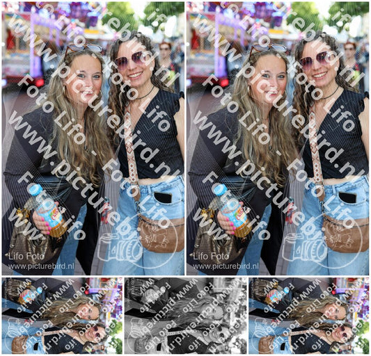 Evenement foto: Nijmeegse Vierdaagse 1130