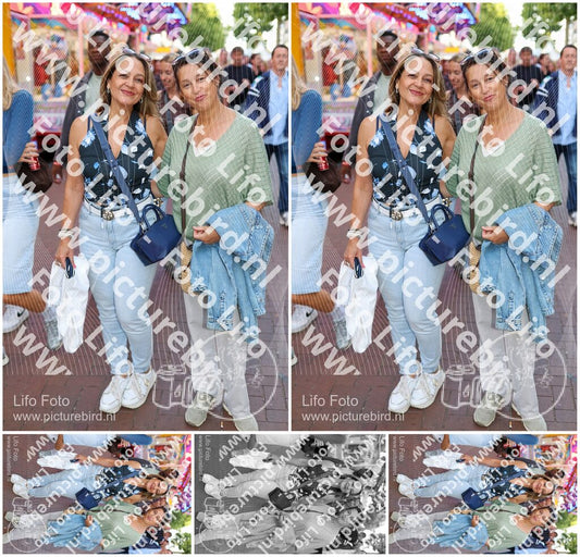 Evenement foto: Nijmeegse Vierdaagse 1130