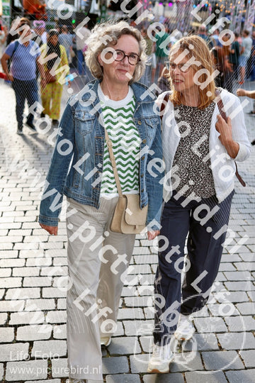 Evenement foto: Nijmeegse Vierdaagse 1129