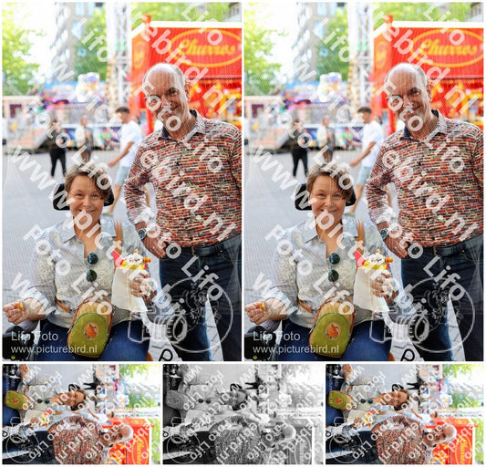 Evenement foto: Nijmeegse Vierdaagse 1129