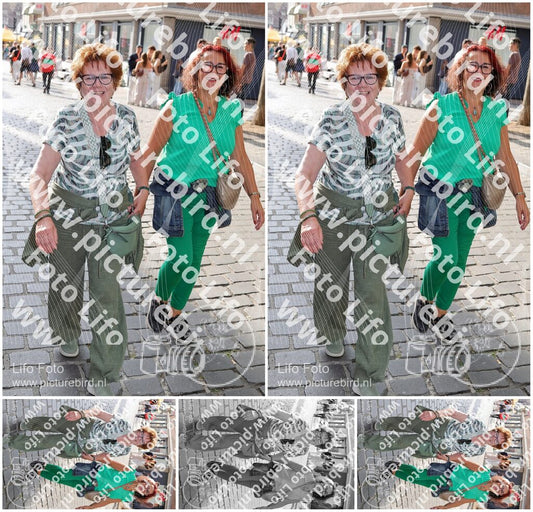 Evenement foto: Nijmeegse Vierdaagse 1128