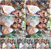Evenement foto: Nijmeegse Vierdaagse 1126