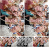 Evenement foto: Nijmeegse Vierdaagse 1126