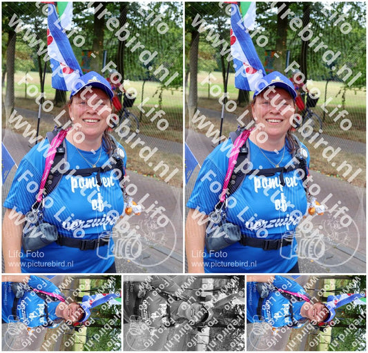 Evenement foto: Nijmeegse Vierdaagse 1125