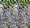 Evenement foto: Nijmeegse Vierdaagse 1124