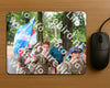 Evenement foto: Nijmeegse Vierdaagse 1124