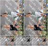Evenement foto: Nijmeegse Vierdaagse 1124