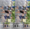 Evenement foto: Nijmeegse Vierdaagse 1124