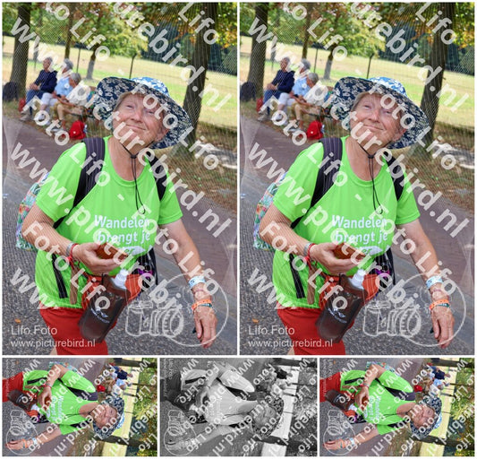 Evenement foto: Nijmeegse Vierdaagse 1124