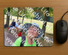 Evenement foto: Nijmeegse Vierdaagse 1124