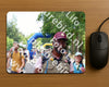Evenement foto: Nijmeegse Vierdaagse 1124