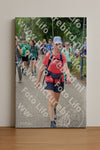 Evenement foto: Nijmeegse Vierdaagse 1123
