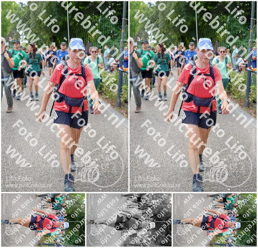 Evenement foto: Nijmeegse Vierdaagse 1123