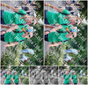 Evenement foto: Nijmeegse Vierdaagse 1123