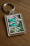 Evenement foto: Nijmeegse Vierdaagse 1123