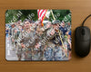 Evenement foto: Nijmeegse Vierdaagse 1123