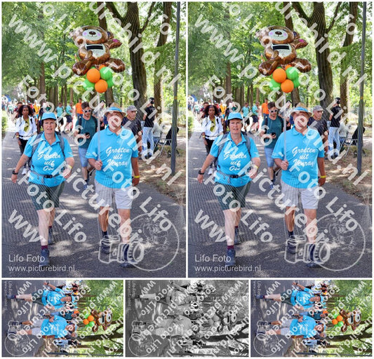 Evenement foto: Nijmeegse Vierdaagse 1123