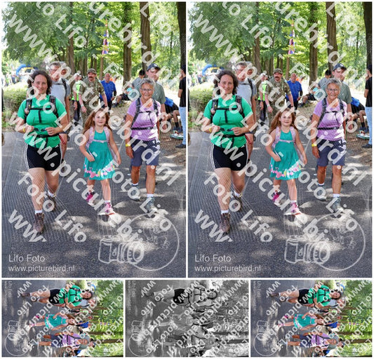 Evenement foto: Nijmeegse Vierdaagse 1123