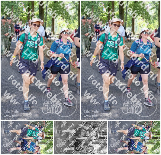 Evenement foto: Nijmeegse Vierdaagse 1123