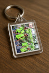 Evenement foto: Nijmeegse Vierdaagse 1123