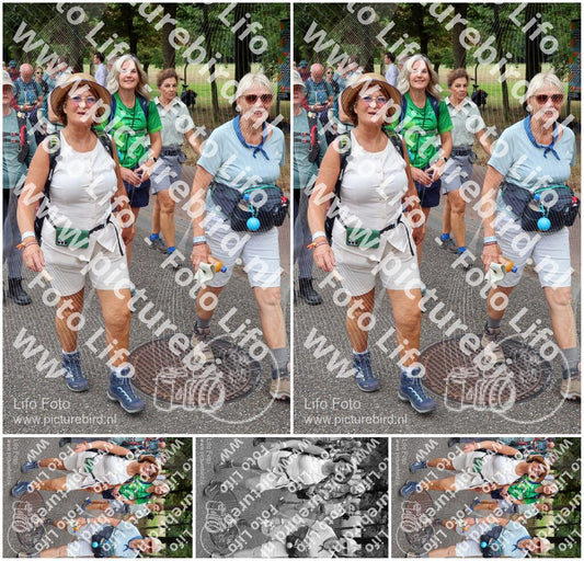 Evenement foto: Nijmeegse Vierdaagse 1122
