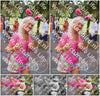 Evenement foto: Nijmeegse Vierdaagse 1122