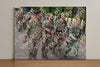 Evenement foto: Nijmeegse Vierdaagse 1122