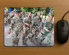 Evenement foto: Nijmeegse Vierdaagse 1122