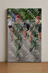 Evenement foto: Nijmeegse Vierdaagse 1122