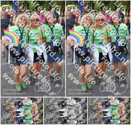Evenement foto: Nijmeegse Vierdaagse 1121