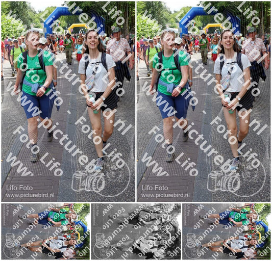 Evenement foto: Nijmeegse Vierdaagse 1121