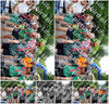 Evenement foto: Nijmeegse Vierdaagse 1121