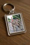 Evenement foto: Nijmeegse Vierdaagse 1121