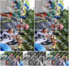 Evenement foto: Nijmeegse Vierdaagse 1121