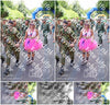 Evenement foto: Nijmeegse Vierdaagse 1120