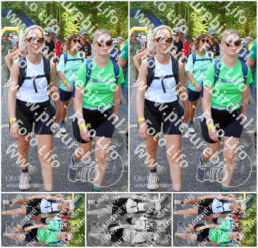 Evenement foto: Nijmeegse Vierdaagse 1120