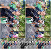 Evenement foto: Nijmeegse Vierdaagse 1120