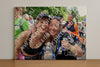 Evenement foto: Nijmeegse Vierdaagse 1120