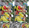 Evenement foto: Nijmeegse Vierdaagse 1120