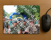 Evenement foto: Nijmeegse Vierdaagse 1120