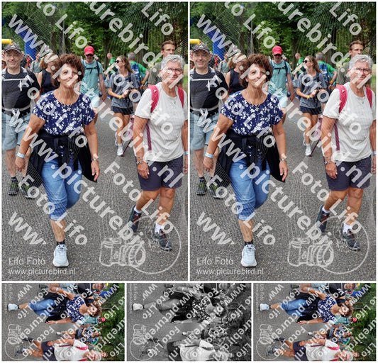 Evenement foto: Nijmeegse Vierdaagse 1120