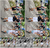 Evenement foto: Nijmeegse Vierdaagse 1119