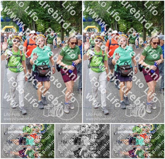 Evenement foto: Nijmeegse Vierdaagse 1119